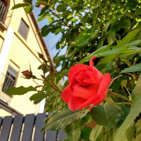 Casa Dei Frati Otel Asti Dış mekan fotoğraf