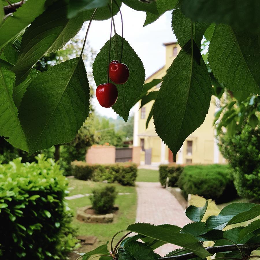 Casa Dei Frati Otel Asti Dış mekan fotoğraf